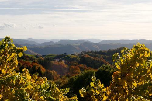 Hotel Weingut Winzerzimmer Rothsch�dl