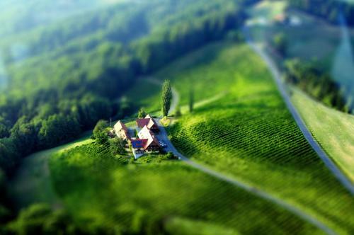 Hotel Weingut Winzerzimmer Rothsch�dl