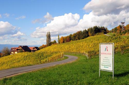 Hotel Weingut Winzerzimmer Rothsch�dl