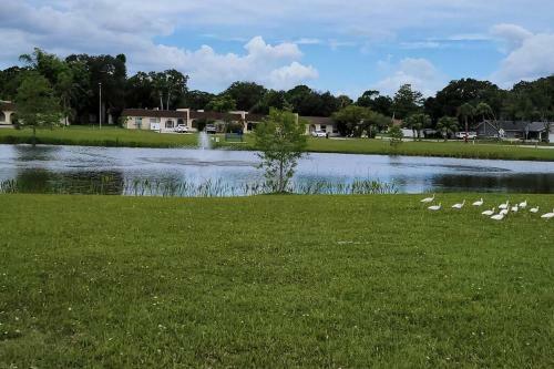 New! Perfect Vacation Home With Pool Near Beaches