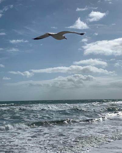 Retreat By The Sea