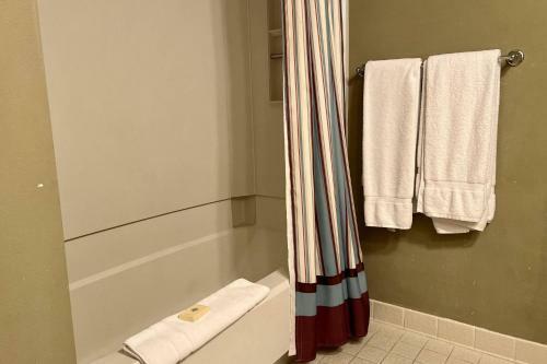 Newly Listed - Saddlebrook Resort - Peaceful Pond Paradise - Pet Friendly