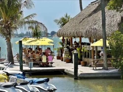 Tropical Oasis Walk To Indian Beach Shores Ringling Museum