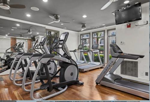 Apartamento The Safari Oasis Midtown Atlanta