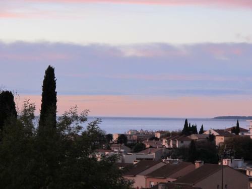 Apartamento Appartement Les Mimosees