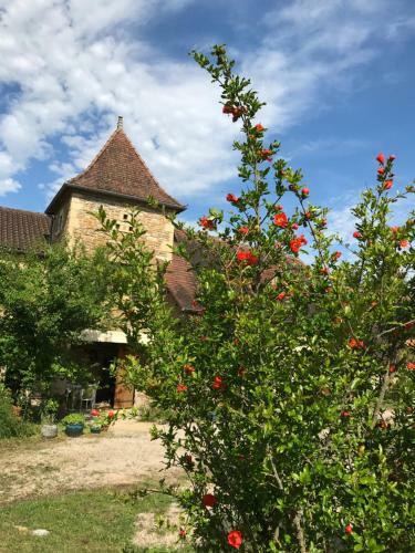 Hostal Chambres Familiales Dans La Maison D Helene
