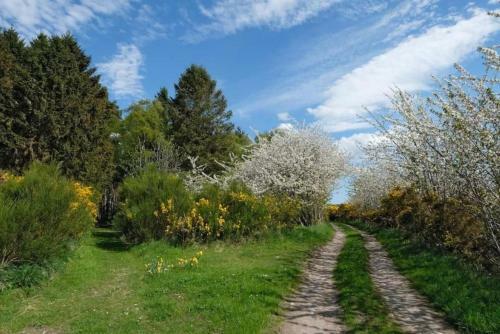 Lower Bruntlands