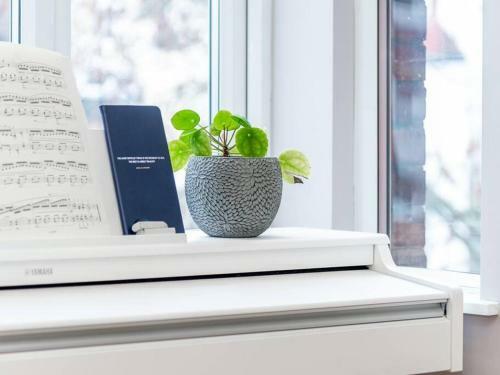Cosy Hidden Gem 1bdr Apartment, South London