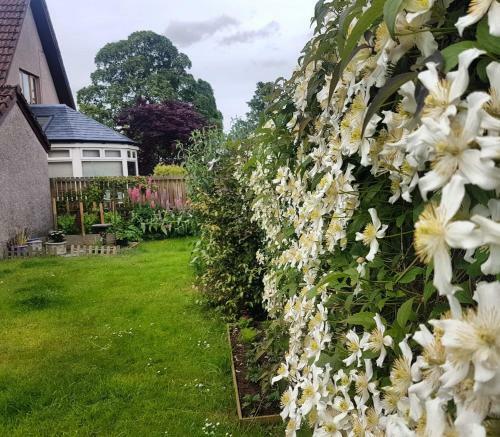 Villa St Andrew's Open 2022-luxury Living