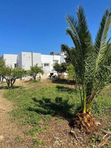 Villa Doc (villa With Private Pool In Chania)
