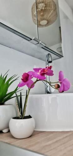 Apartamento #new#appart Cosy#pied De La Cit�#3
