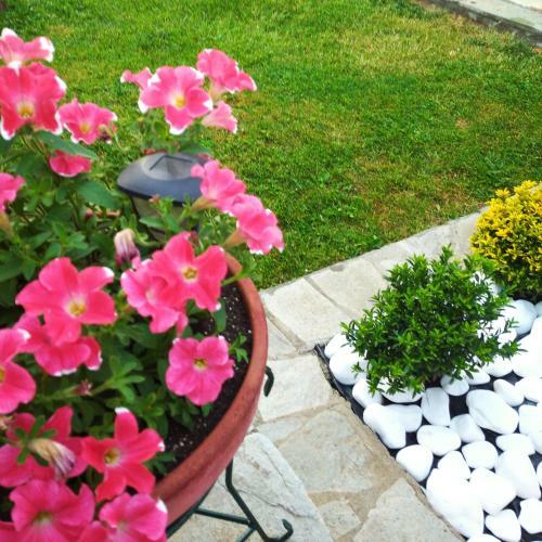 Apartamento Appartment Sotirios