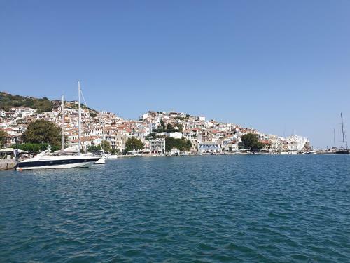 Apartamento Lovely One-bedroom Flat In Skopelos