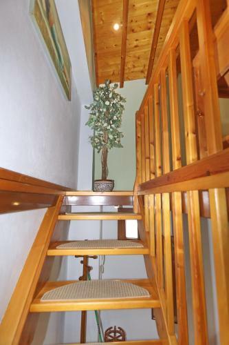 Traditional City Centre House