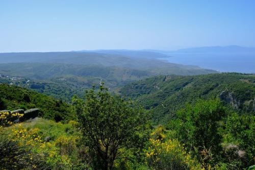 ??????????? ???????????? ????????? ??? ???????- Traditional Villa In Vizitsa, Pelion