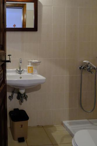 ??????????? ???????????? ????????? ??? ???????- Traditional Villa In Vizitsa, Pelion