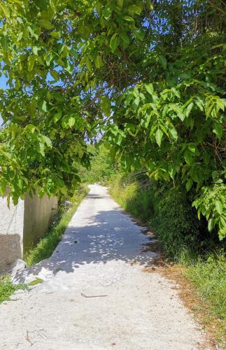 ??????????? ???????????? ????????? ??? ???????- Traditional Villa In Vizitsa, Pelion