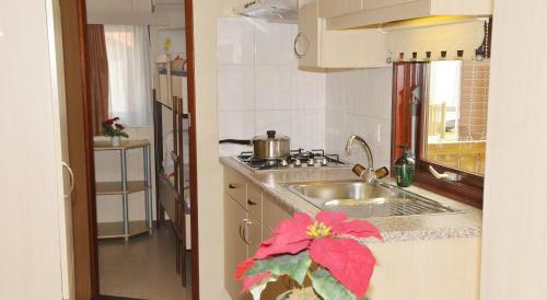 Camping Jungfrau - Holiday Park