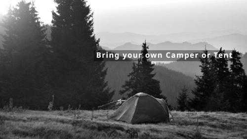 Camping Jungfrau - Holiday Park