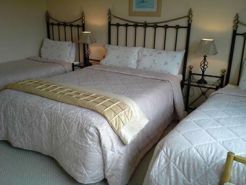 Fern Rock Bed And Breakfast