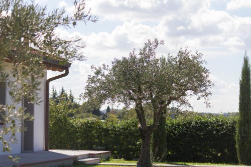 Apartamento La Bertanigra