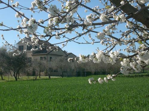 Bed & Breakfast I Ciliegi