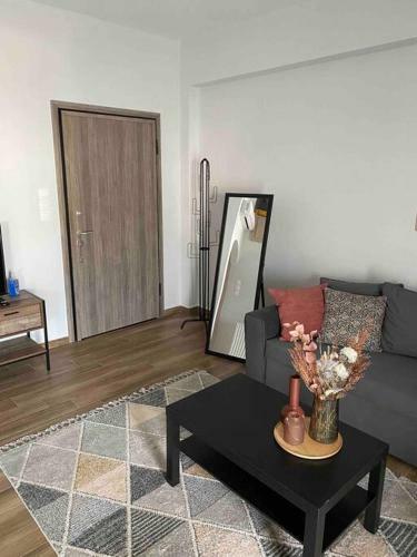 Luxury Apartments 1 Volos