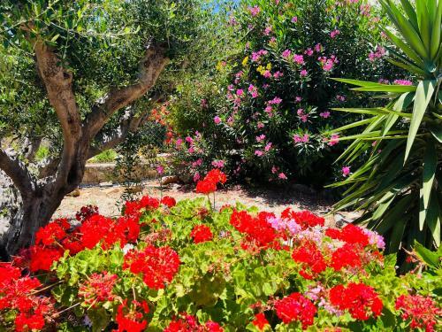 Beautiful Villa Hylios With Stunning Sea View!
