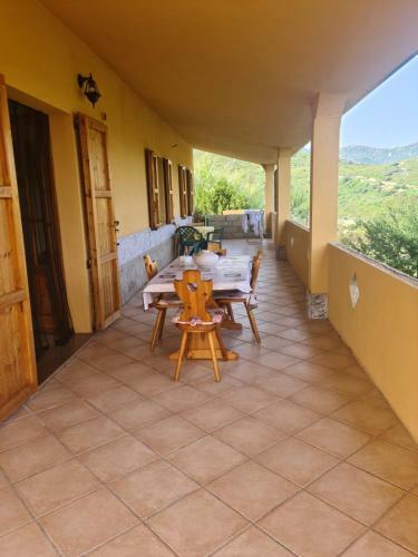 Villa Damiana