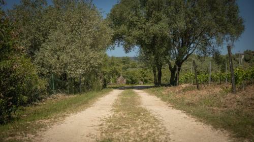 Apartamento Welcomely - Country House Muristene