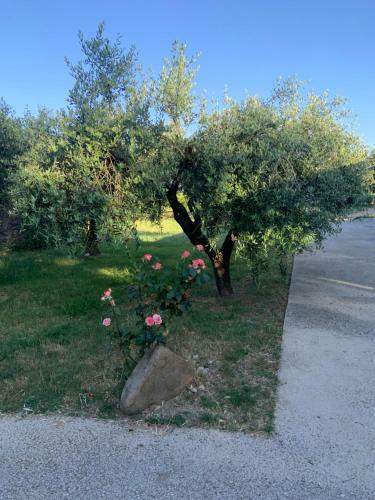 Apartamento Casetta Negli Ulivi