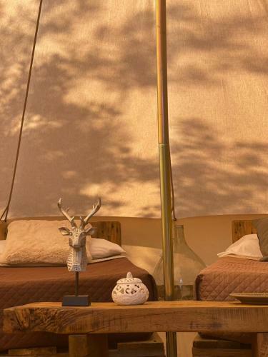 Golden Camp