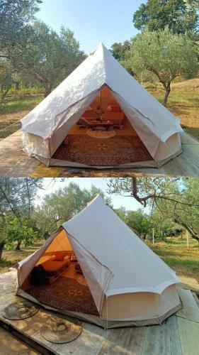 Golden Camp