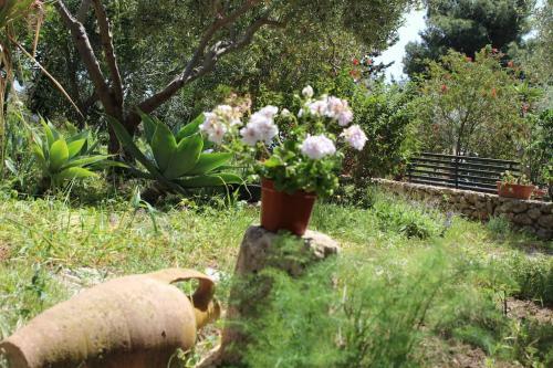 Villa Casa Di Campagna Angolo Di Pace