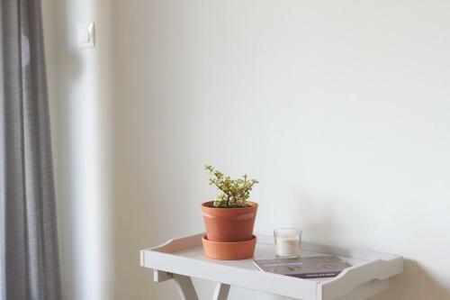 Bright Bright C- Modern Apartment With Terrace