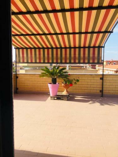 Apartamento Placidiano House
