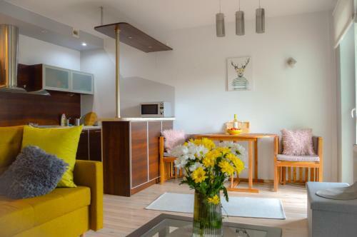 Apartament Grunwaldzka Przy ?ynie