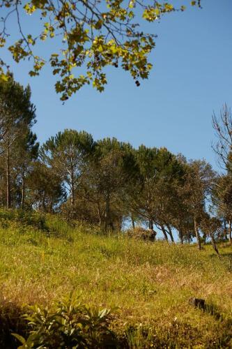 Villa Quinta Do Marmeleiro- Casa Poejo