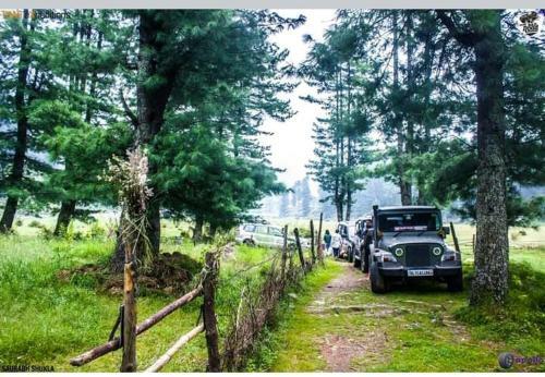 Lodge The Vinshar Bagha Sarahan