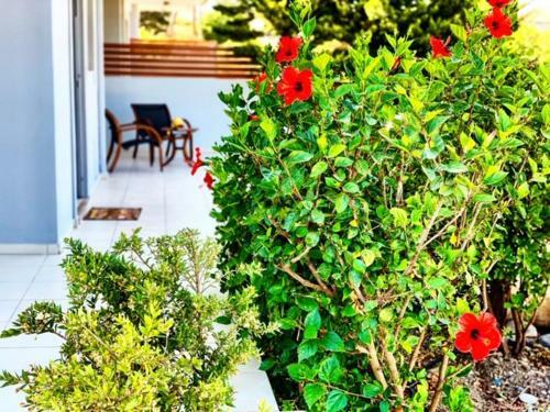 Villa Papagiorgio Luxury And Harmony