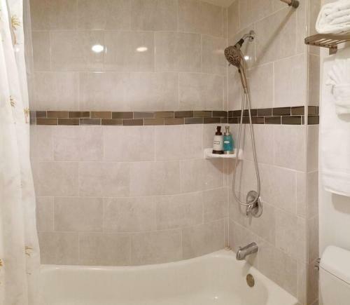 Apartamento Ocean View 1 Bedrm, Free Parking, Walk To Beach