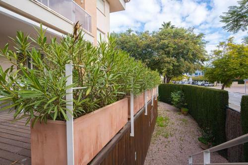 Apartamento Golden Gardens Arenal