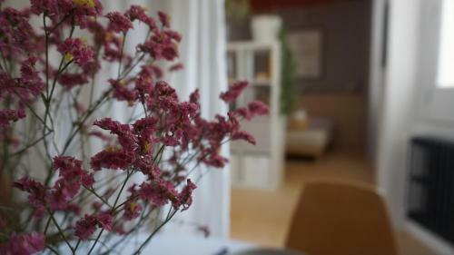 Apartamento Gramma Atelierhouse