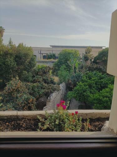 Hostal Dimora Liberty