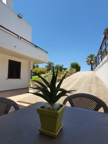 A Casa Di Carla - Villa In Salento
