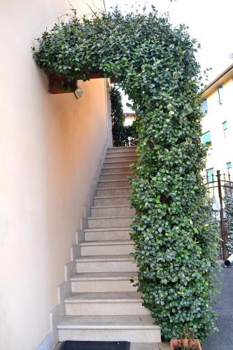 Bed & Breakfast Alloggio La Pesa