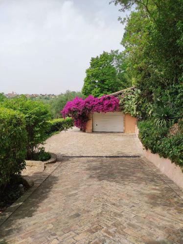 Apartamento Villa Maja Country House