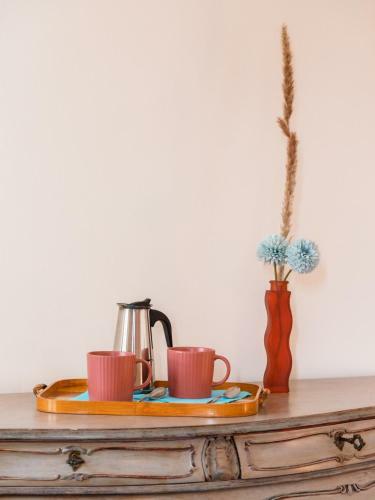 Apartment Fontanella In Historic Villa Viareggio