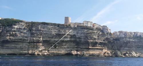 Voilier