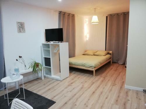 Apartamento Studio Cosy Hyper Centre - Fibre - Netflix